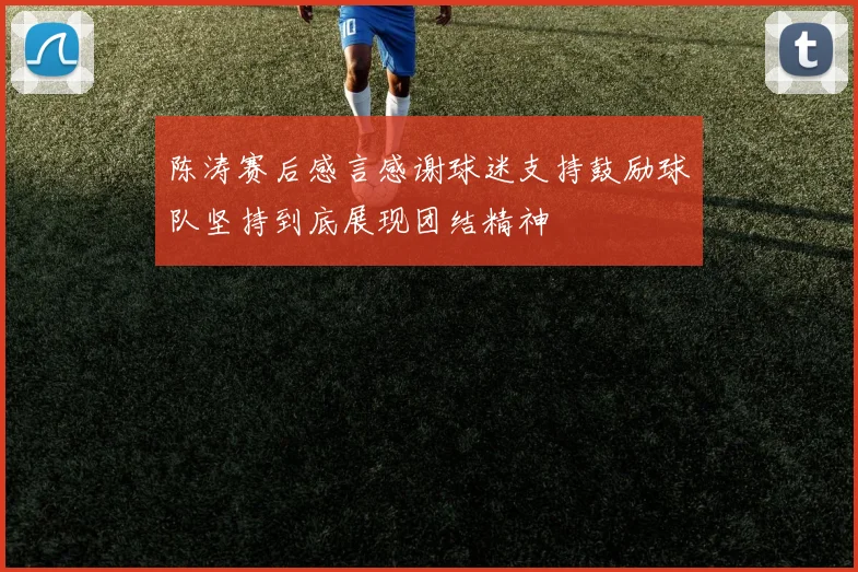 陈涛赛后感言感谢球迷支持鼓励球队坚持到底展现团结精神