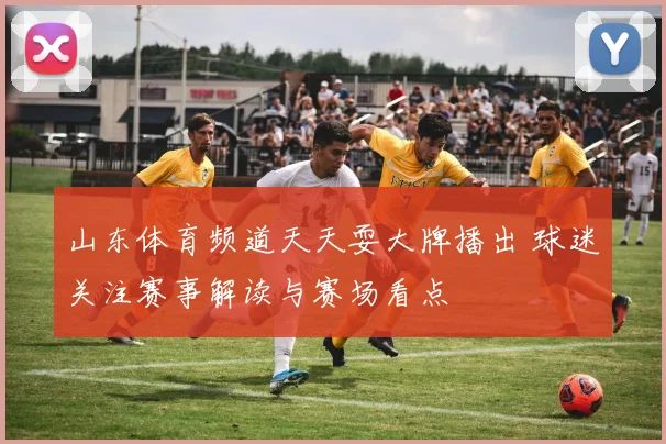 山东体育频道天天耍大牌播出 球迷关注赛事解读与赛场看点
